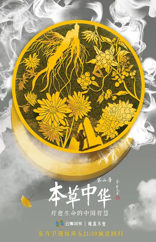 《本草中华 第二季》：寻觅中华草药的奥秘，感受自然的力量