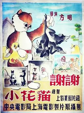治愈系暖心之作：《谢谢小花猫》—— 一场关于爱与失去的生命旅程